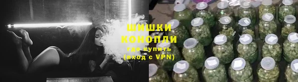 дмт Дмитров