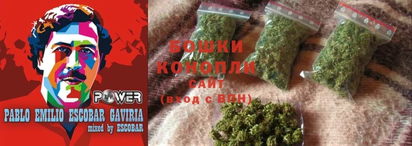 СК Дмитровск