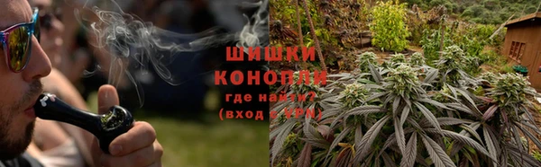 гашик Дмитриев