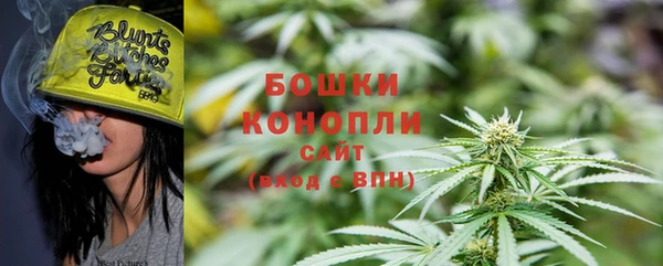 гашик Дмитриев