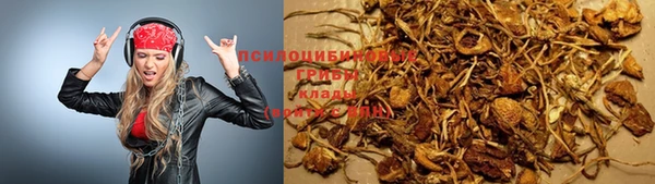 гашик Дмитриев