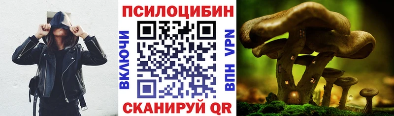 Галлюциногенные грибы мухоморы  Купить закладки  Циолковский 